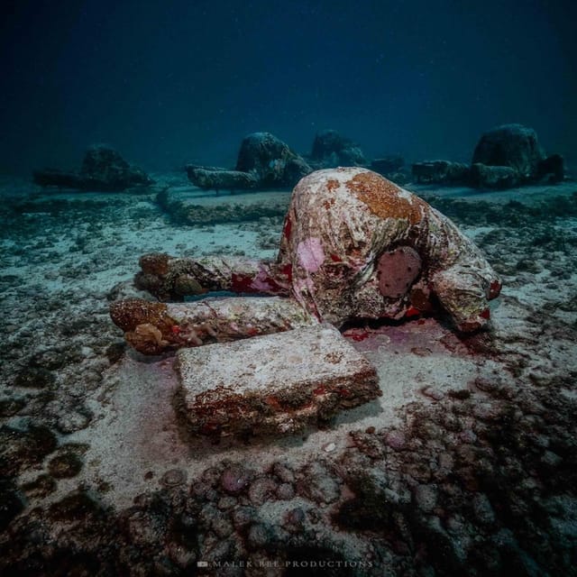 Isla Mujeres: MUSA and the Manchones Reef: 2 Tank Dive Tour - Inclusions