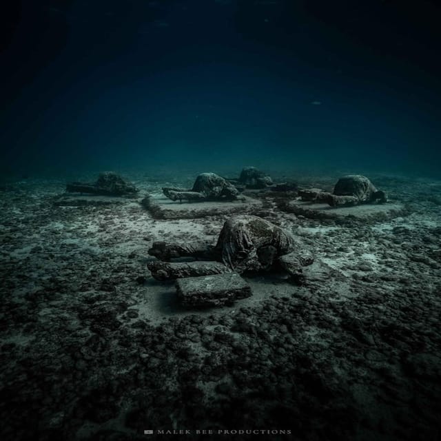 Isla Mujeres: MUSA and the Manchones Reef: 2 Tank Dive Tour - Unsuitability