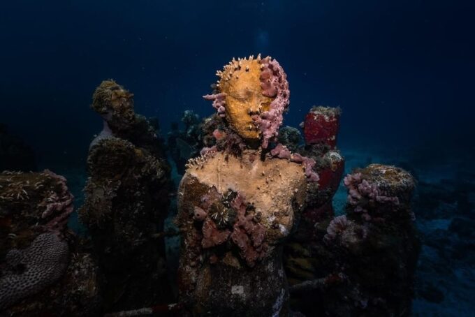 Isla Mujeres: MUSA and the Manchones Reef: 2 Tank Dive Tour - Prohibitions