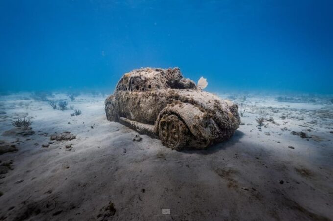 Isla Mujeres: MUSA and the Manchones Reef: 2 Tank Dive Tour - Motion Sickness Advice