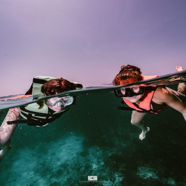 Isla Mujeres - MUSA and the Manchones Reef - Snorkel - Underwater Museum of Art (MUSA)