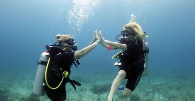 Isla Mujeres: PADI Open Water Diver Course - Key Points