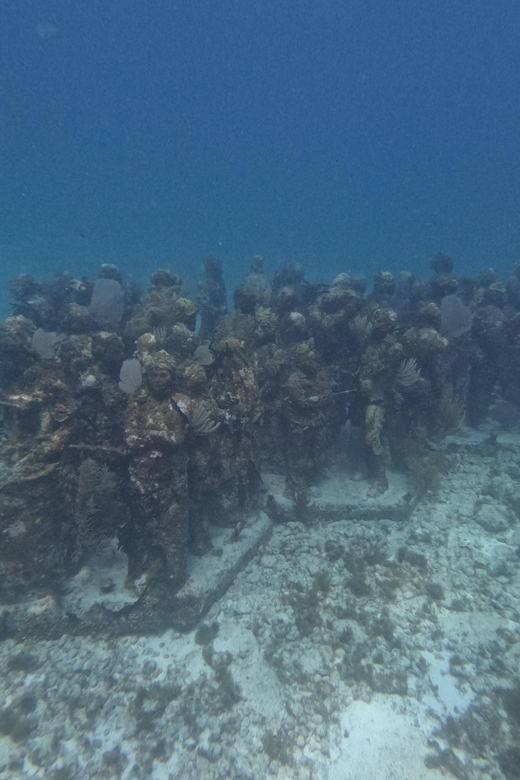 Isla Mujeres: Snorkel Experience in Underwater Museum - Included Amenities