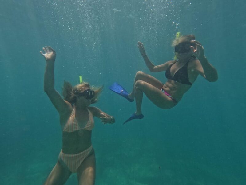 Isla Mujeres: Snorkel Experience in Underwater Museum - Customer Feedback
