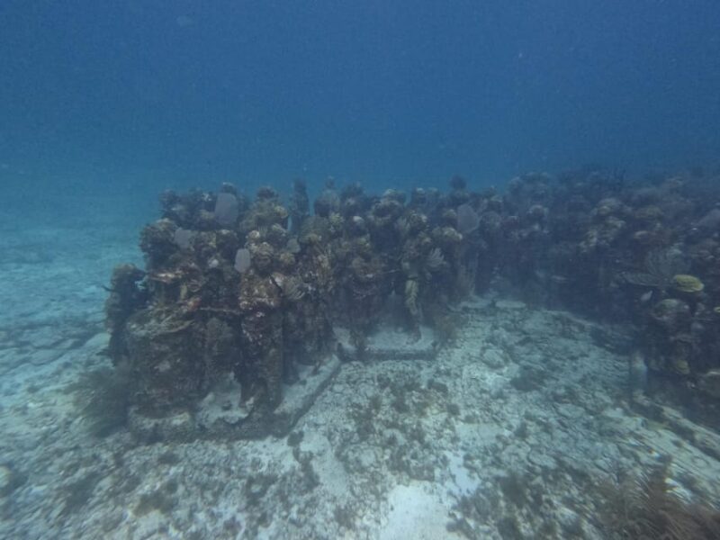 Isla Mujeres: Snorkel Experience in Underwater Museum - Booking and Cancellation