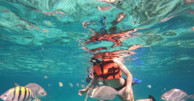 Isla Mujeres: Snorkeling Adventure at the Underwater Museum - Key Points