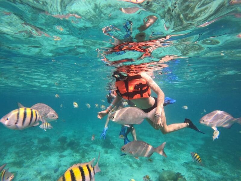 Isla Mujeres: Snorkeling Adventure at the Underwater Museum - Itinerary Highlights