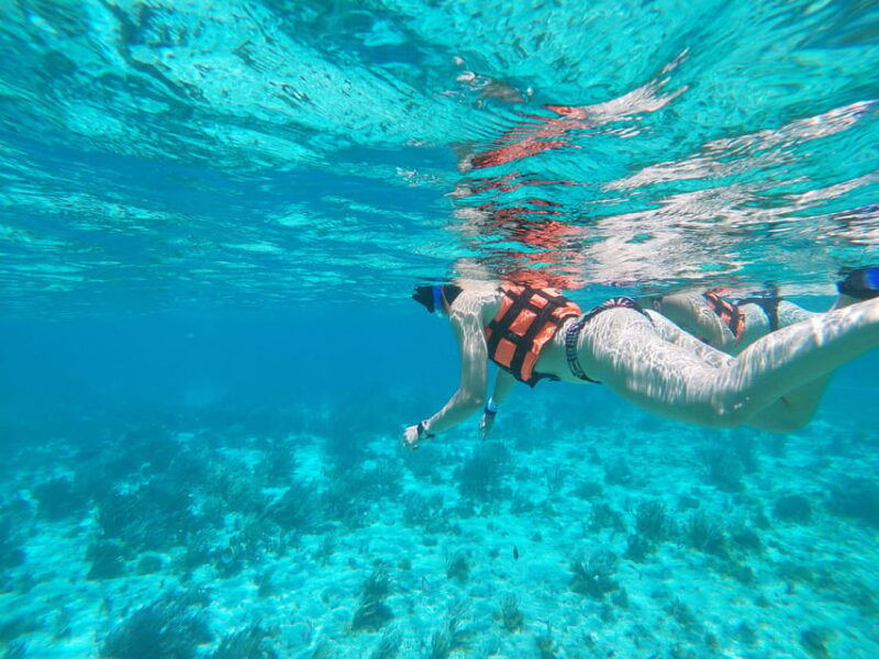 Isla Mujeres: Snorkeling Adventure at the Underwater Museum - Experience Details