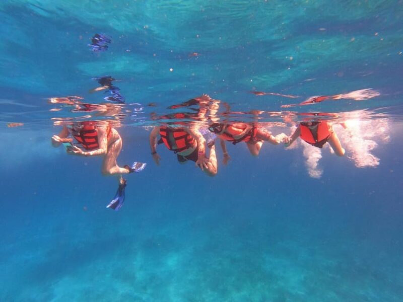 Isla Mujeres: Snorkeling Adventure at the Underwater Museum - Important Information