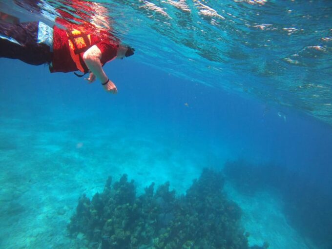 Isla Mujeres: Snorkeling Adventure at the Underwater Museum - Isla Mujeres