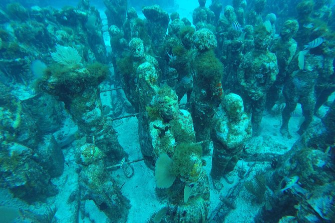 Isla Mujeres Snorkeling Tour Adventure - Meeting and End Point