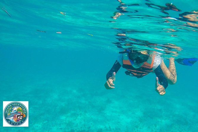 Isla Mujeres Snorkeling Tour Adventure - Recharging With Seafood Lunch