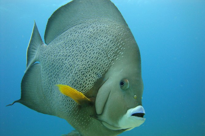 Isla Mujeres Snorkeling Tour - Duration and Schedule