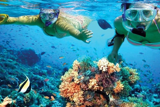 Isla Mujeres Tour in a Catamaran With Snorkel, Open Bar, Lunch - Meeting Point and Schedule