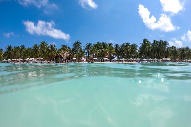 Isla Mujeres Tour on Catamaran With Snorkel, Open Bar, Buffet & Beach Club - Host Response and Additional Notes
