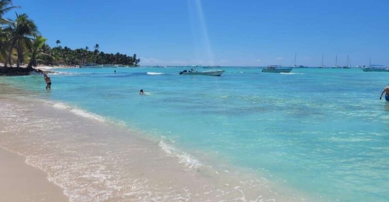 Isla Saona Day Trip From Santo Domingo With Lunch - Itinerary Details