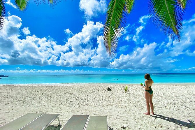 Isla Saona Full-Day Tour: Beach, Lagoon, Snorkeling & Mangroves - Tour Overview