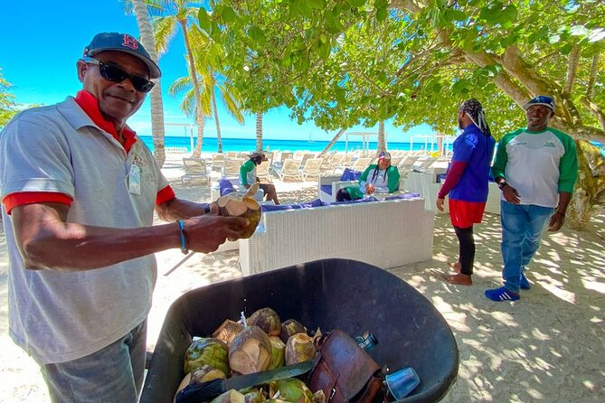 Isla Saona Full-Day Tour: Beach, Lagoon, Snorkeling & Mangroves - Activities and Highlights