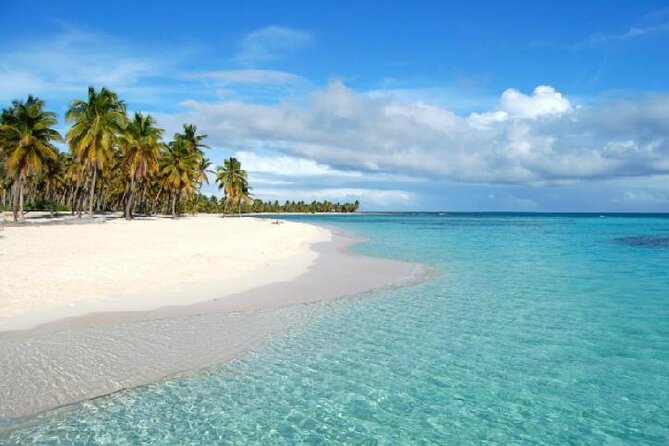 Isla Saona Half-Day Tour From Uvero Alto With Snorkeling - Discovering Isla Saonas Natural Wonders