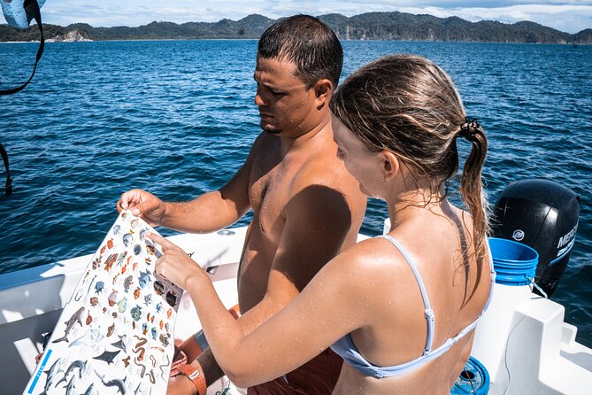 Isla Tortuga Boat Tour - From Paquera - Snorkeling and Beach Relaxation