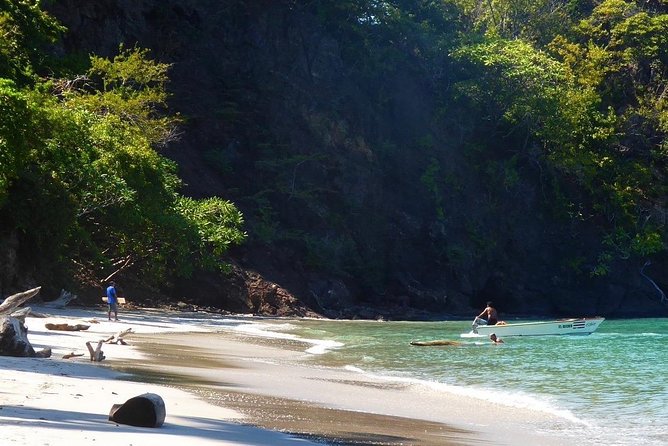 Isla Tortuga Snorkeling Tour - Traveler Experiences and Feedback
