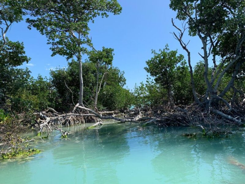 Islamorada: Guided Tour With Local Highlights - Key Points