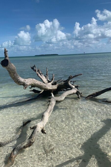 Islamorada: Guided Tour With Local Highlights - Getting to the Tour