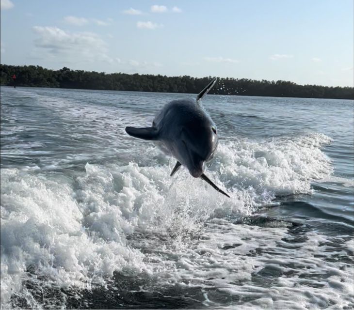 Islamorada: Multi-Activity Private Boat Charter - Key Points