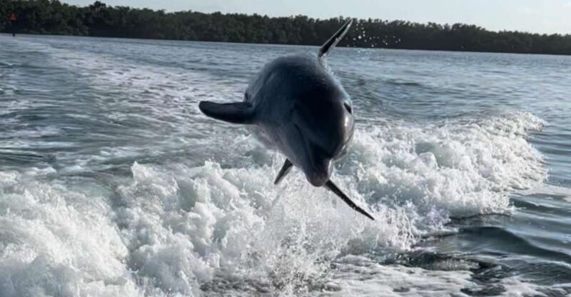 Islamorada: Multi-Activity Private Boat Charter - Booking and Cancellation