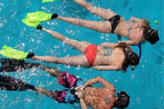 Islamorada: Snorkeling Experience - Key Points
