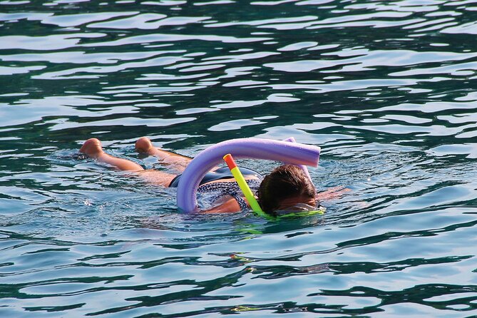 Islamorada: Snorkeling From the Islander Hotel - About the Snorkeling Activity