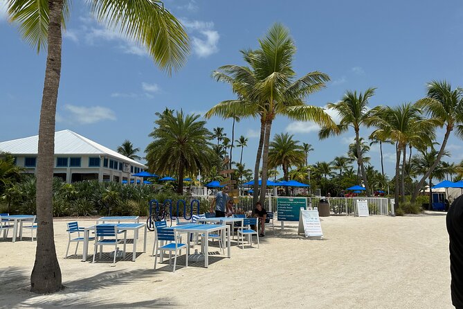 Islamorada: Snorkeling From the Islander Hotel - Participant Eligibility and Accessibility