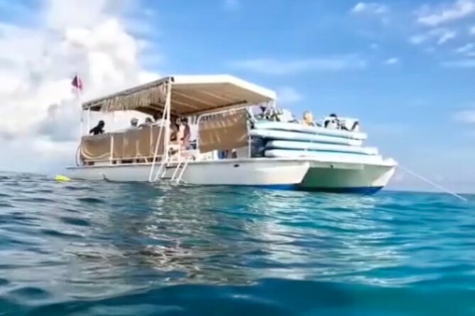 Islamorada: Snorkeling From the Islander Hotel - Highlights From Customer Reviews