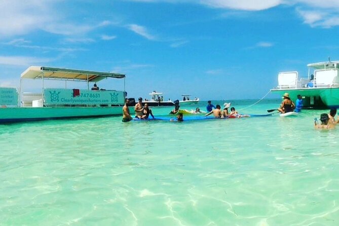 Islamorada: Whale Harbor Sandbar With Swimming - Details About the Operator