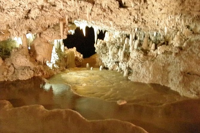 Island Adventure Harrisons Cave & Monkey Feeding Group Tour or Private Tour - Scenic Views at Bathsheba