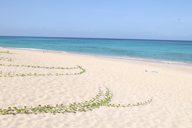 Island Beach Hopping - Booking Your Stay
