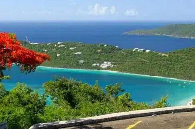 Island Buggy Excursions - Booking and Practicalities