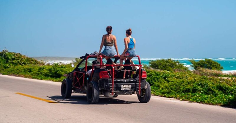 Island Buggy Tour - Experience Highlights