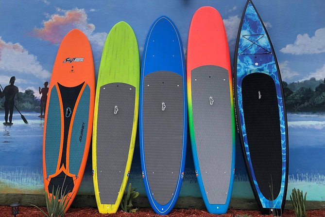 Island City ECO Paddle and Lesson to 9.3 Acre Nature Preserve - Marine Wildlife and Scenery