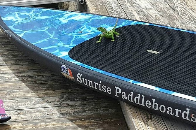 Island City ECO Paddle and Lesson to 9.3 Acre Nature Preserve - Pricing and Booking Details
