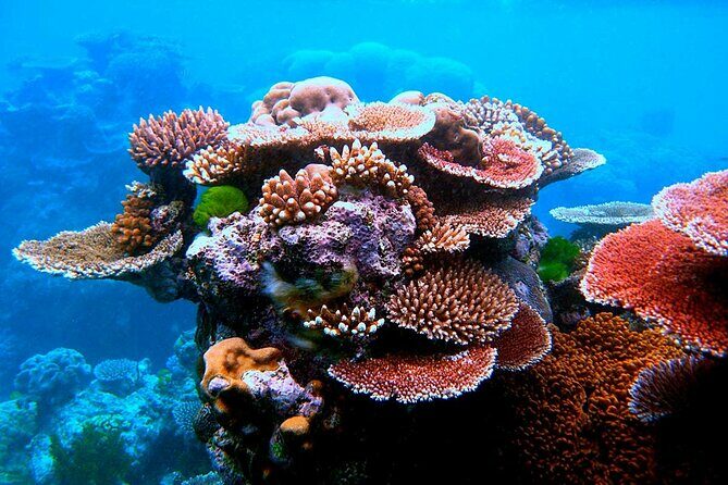 Island Day Tour Santo's Best Snorkeling Marine Sanctuary - A Closer Look at the Itinerary