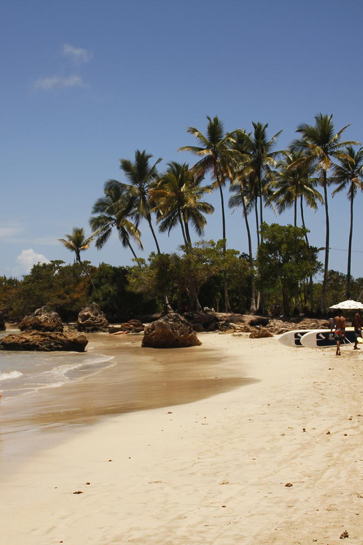 Island Day Trip to Morro De São Paulo - Key Points