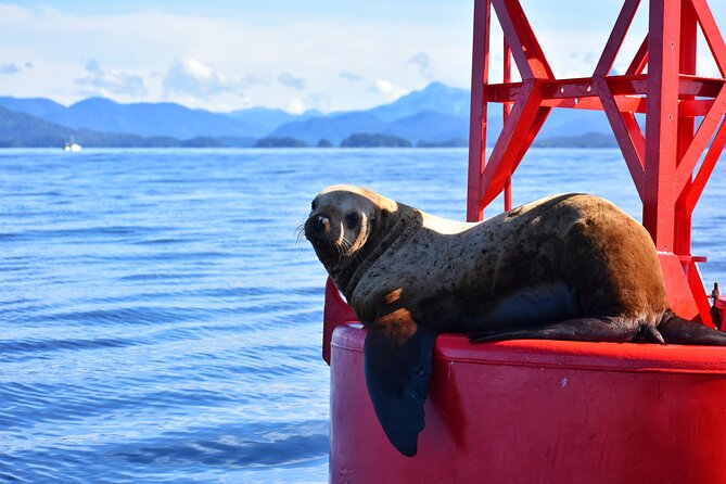 Island Discovery Kayak Paddle in Sitka, Alaska - Exploring Sitkas Stunning Coastal Landscapes
