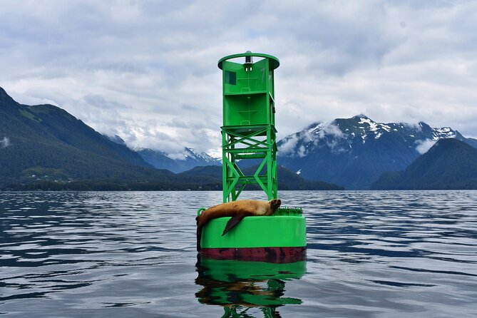 Island Discovery Kayak Paddle in Sitka, Alaska - Kayaking Equipment and Safety Considerations
