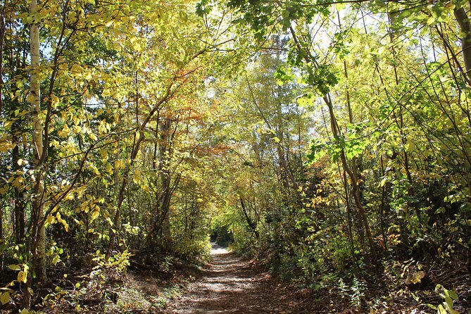 Island Drive & Anne of Green Gables Tour - Prince Edward Island Preserve