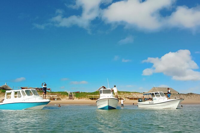 Island Escape Day Trip Speedboat Excursion in Maputo - Accessibility and Restrictions