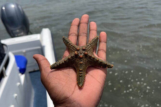 Island Escape Day Trip Speedboat Excursion in Maputo - Negative Traveler Feedback