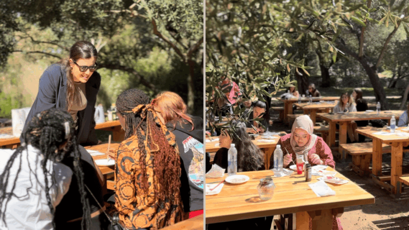 Island Escape: One-of-a-Kind Local Workshop on Lokrum Island - Itinerary Details
