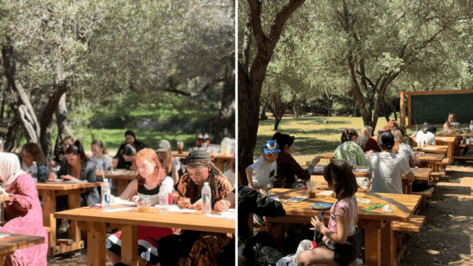 Island Escape: One-of-a-Kind Local Workshop on Lokrum Island - Reasons to Attend the Workshop