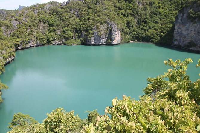 Island Exploration Around Ang Thong Marine Park - Dietary Requirements